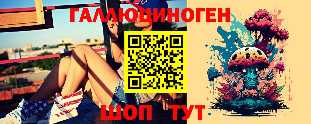 Ессентуки  Галлюциногенные грибы прущие грибы  Вход с VPN 